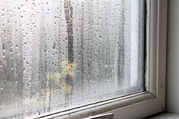 Glass Window Repair for Foggy Windows Condensation inside window glass panels caused by sealing issues that require glass window repair or an insulated glass replacement.